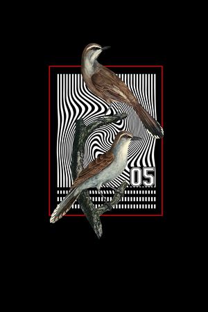 手绘复古鸟印花华亿平台图片