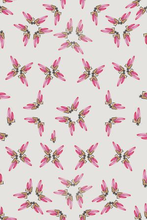 植物印花华亿平台图片