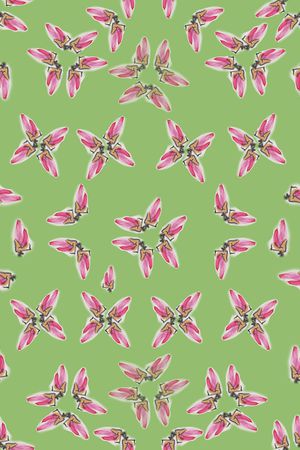 植物印花华亿平台图片