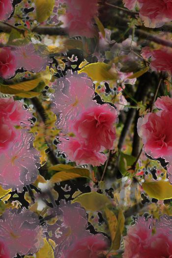 1037405-180401-花鸟山水-1-2