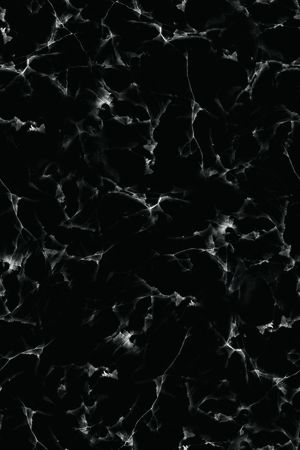 羽绒服印花华亿平台图片