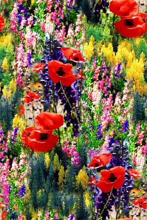 肌理印花华亿平台图片