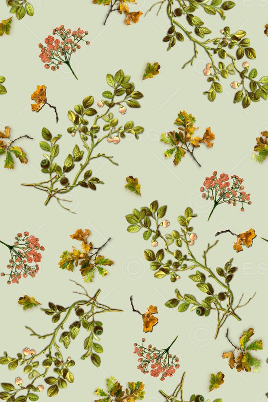 树枝印花华亿平台图片