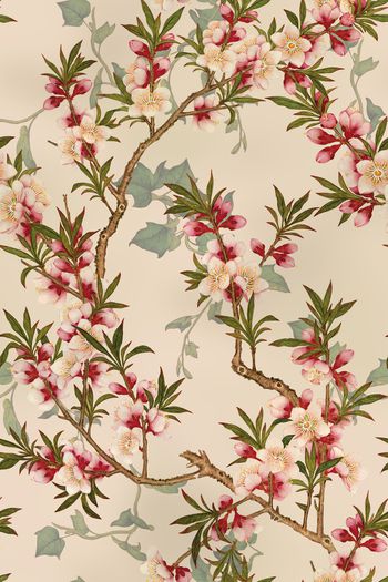 1038142-中国风工笔画桃花