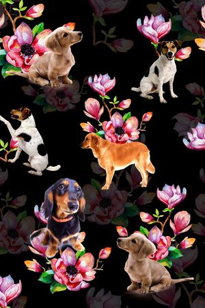 玉兰花印花华亿平台图片