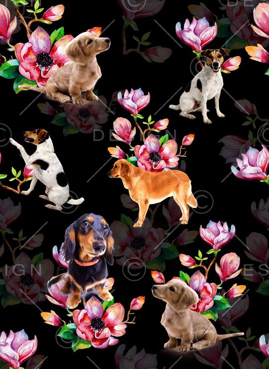 玉兰花印花华亿平台图片