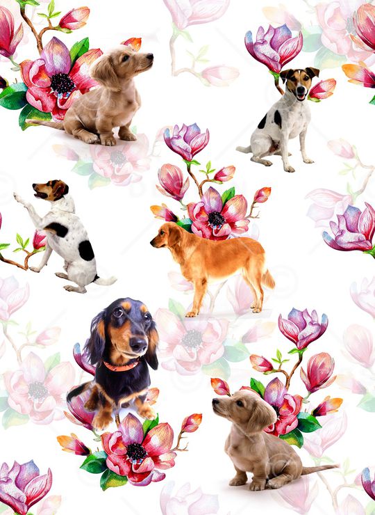 玉兰花印花华亿平台图片