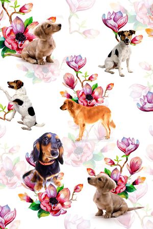 玉兰花印花华亿平台图片