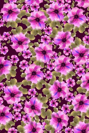 黑底花卉印花华亿平台图片