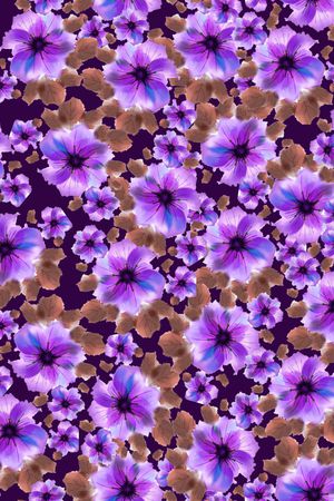 黑底花卉印花华亿平台图片