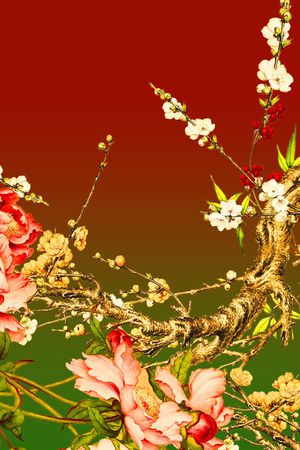 中老年印花华亿平台图片