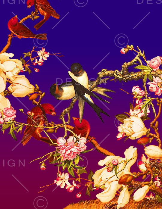 中老年印花华亿平台图片