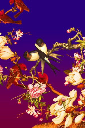 中老年印花华亿平台图片