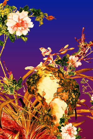 中老年印花华亿平台图片