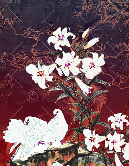 中老年印花华亿平台图片