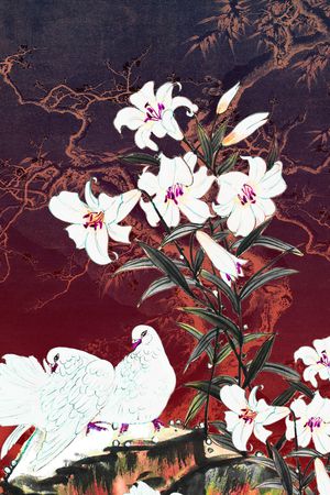 中老年印花华亿平台图片