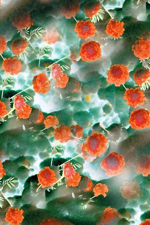 数码华亿平台印花华亿平台图片