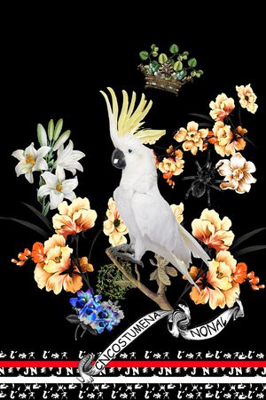 数码华亿平台印花华亿平台图片