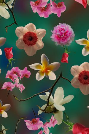 玉兰花印花华亿平台图片