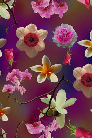 玉兰花印花华亿平台图片