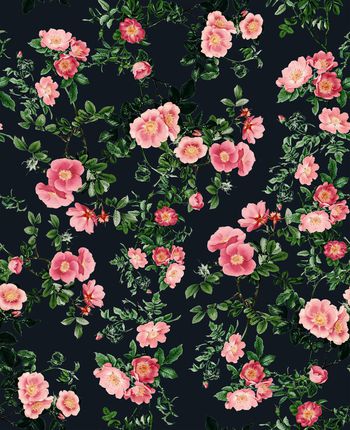 1040091-未标题-009