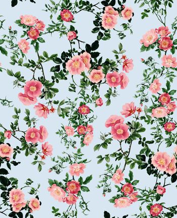 1040092-未标题-009A