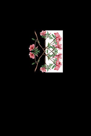 创意印花华亿平台图片