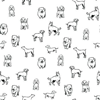 淑女印花华亿平台图片