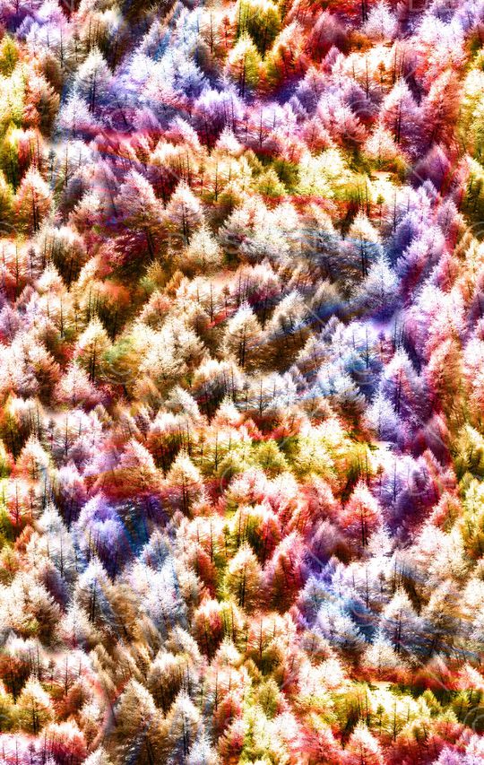 植物印花华亿平台图片