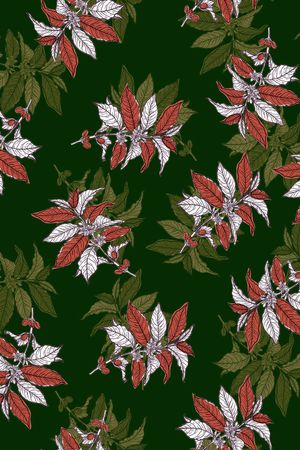 黑底花卉印花华亿平台图片