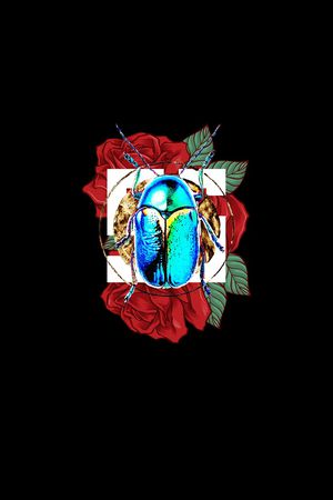 创意印花华亿平台图片