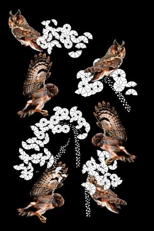 猫头鹰印花华亿平台图片