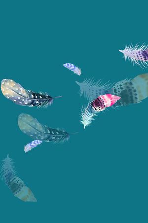 羽毛印花华亿平台图片