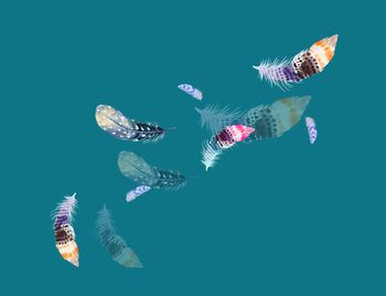 羽毛印花华亿平台图片