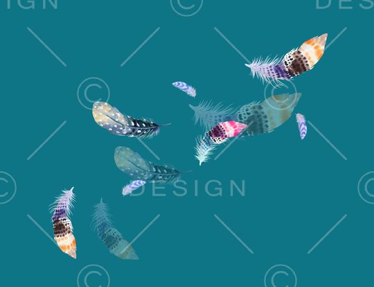 羽毛印花华亿平台图片