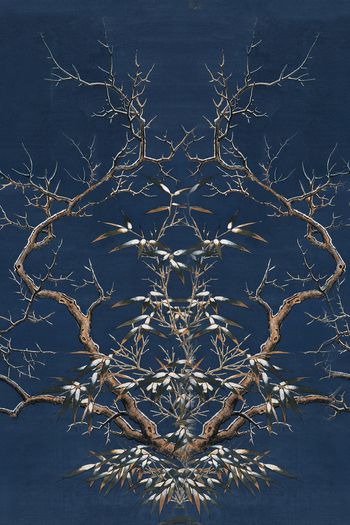 1041705-WX-180403-03