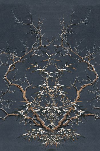 1041706-WX-180403-03-01