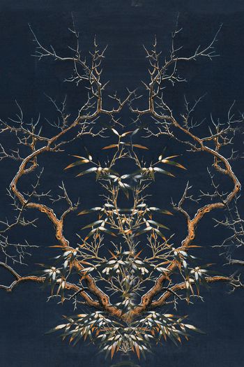 1041707-WX-180403-03-02