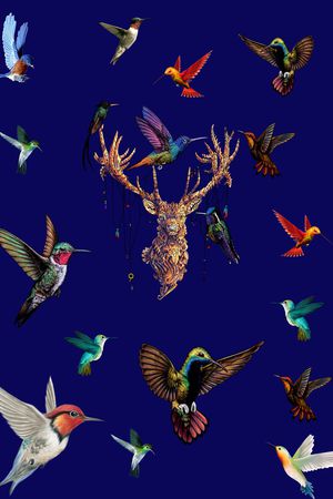 衬衫印花华亿平台图片