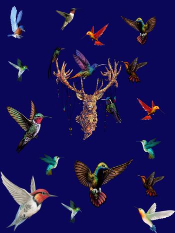 衬衫印花华亿平台图片