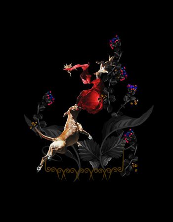 数码华亿平台印花华亿平台图片