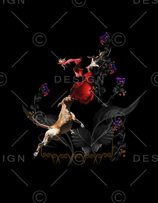 数码华亿平台印花华亿平台图片