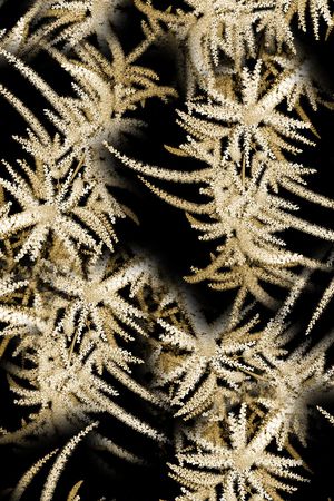 植物印花华亿平台图片