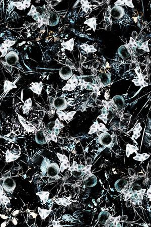 数码华亿平台印花华亿平台图片