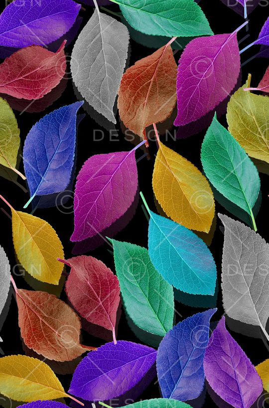 植物印花华亿平台图片