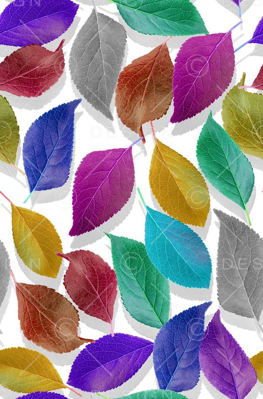 植物印花华亿平台图片