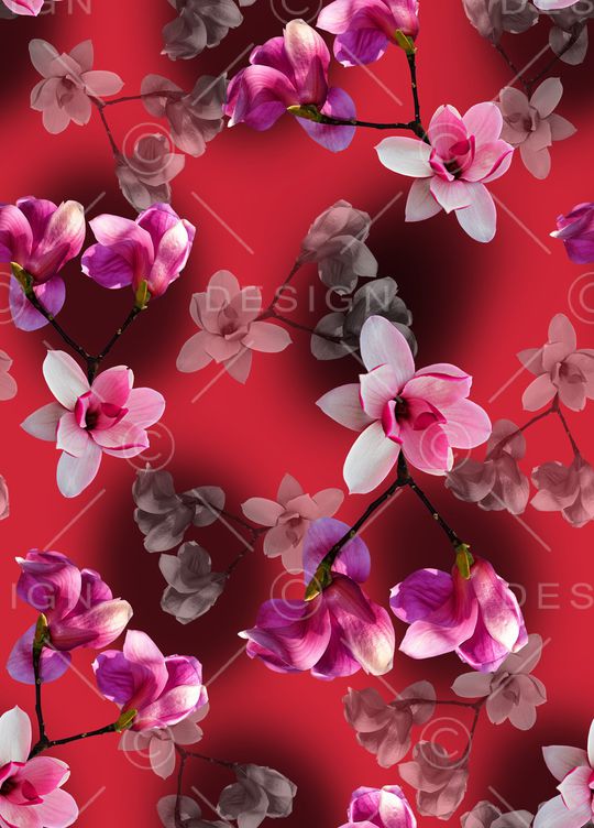 玉兰花印花华亿平台图片