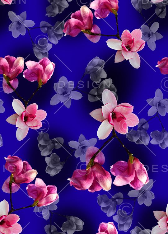 玉兰花印花华亿平台图片