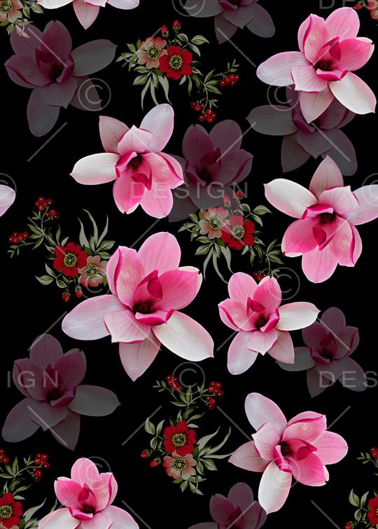 玉兰花印花华亿平台图片