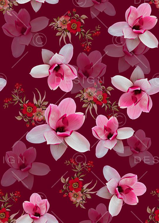 玉兰花印花华亿平台图片